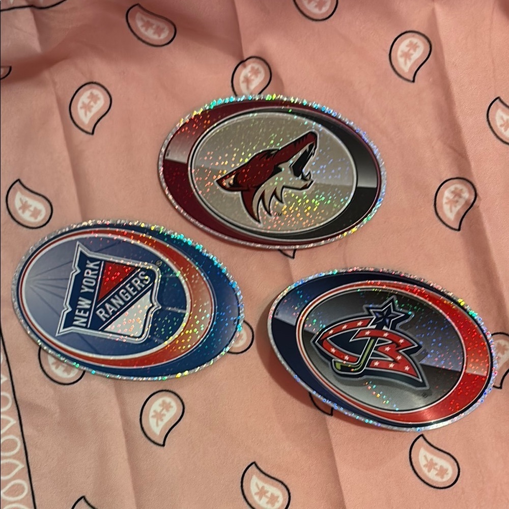 Holographic NHL Team Stickers Set GWP